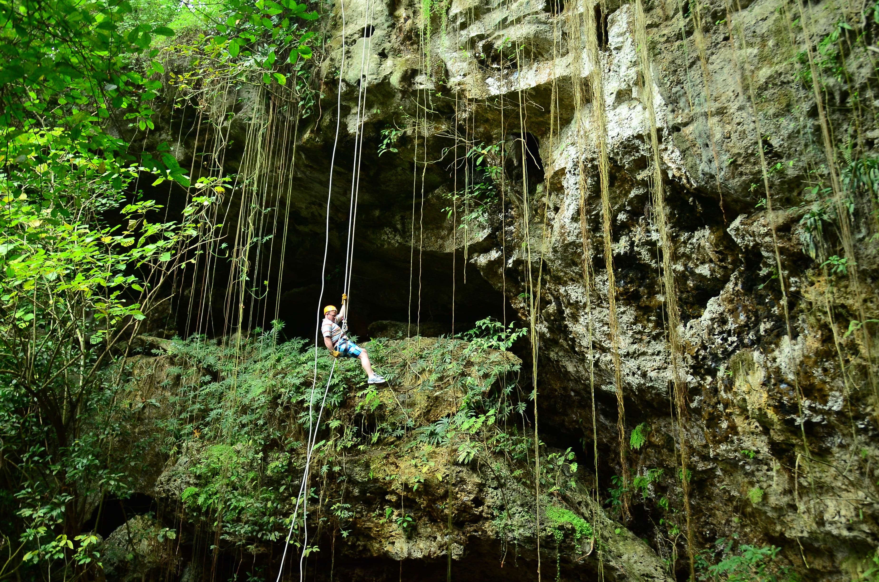 A traveler rappelling down a vine-covered limestone cliff