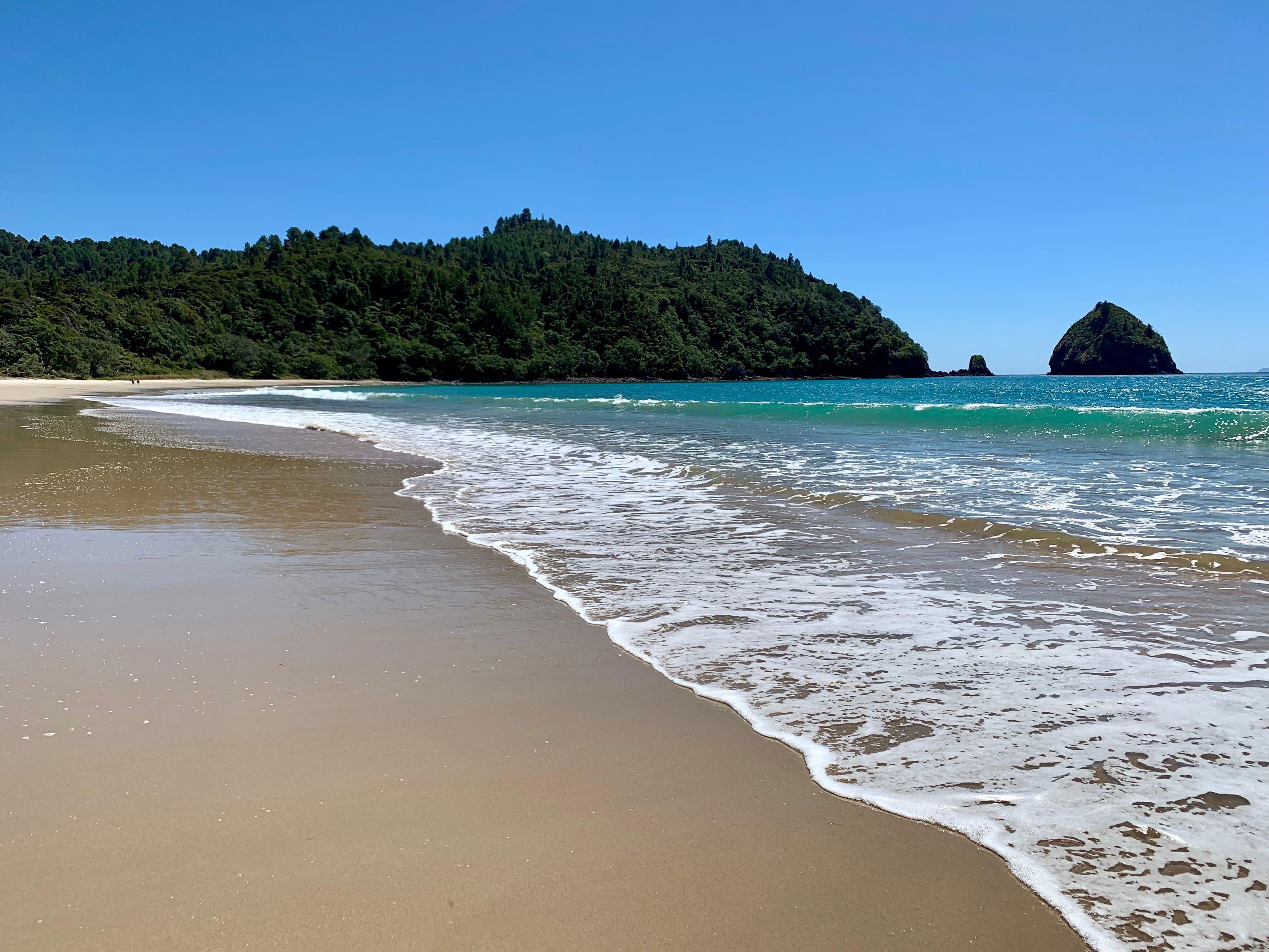 Sandy beach with turquoise water and a forested headland